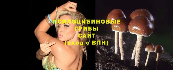 a pvp Иноземцево