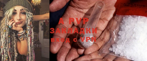 ГАЛЛЮЦИНОГЕННЫЕ ГРИБЫ Александровское