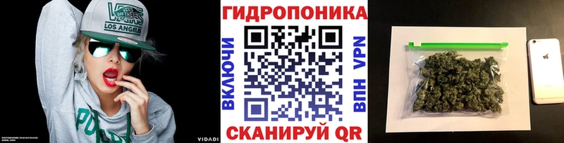 Купить  Дивногорск  МАРИХУАНА SATIVA & INDICA 